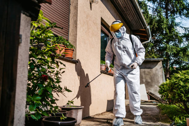 Best Affordable Pest Control Services  in Mount Olive, AL