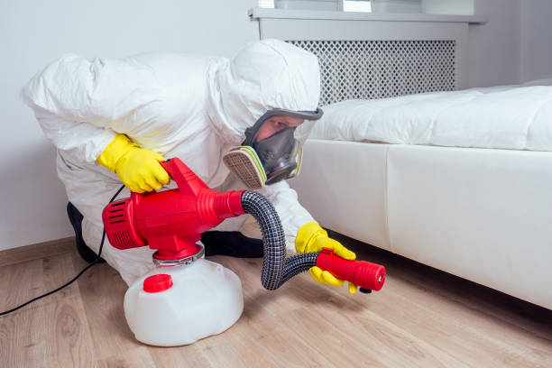 Best Affordable Pest Control Services  in Mount Olive, AL