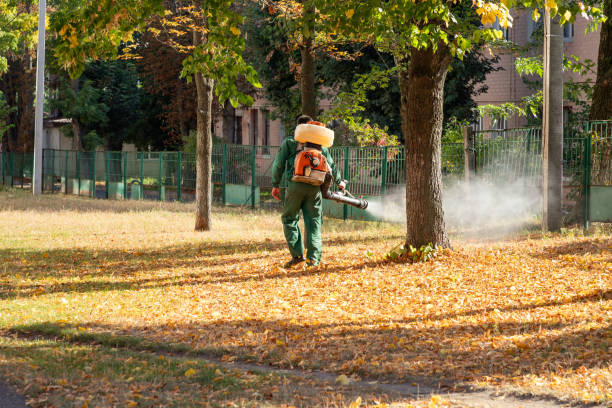 Best Best Pest Control Companies  in Mount Olive, AL