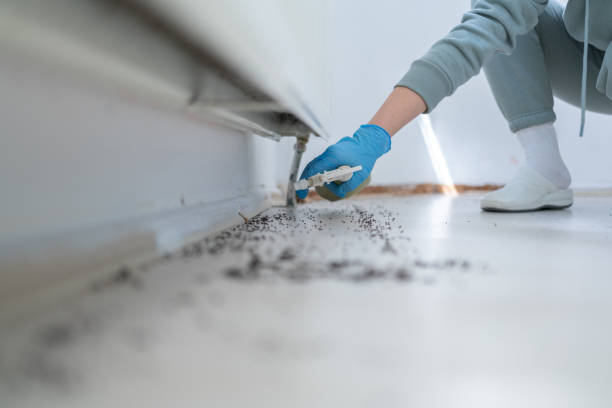 Best Best Pest Control Companies  in Mount Olive, AL